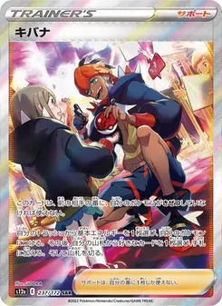 キバナ 237/172 — VSTARユニバース