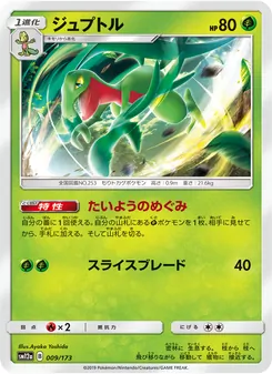 ジュプトル 009/173 — TAG TEAM GX タッグオールスターズ