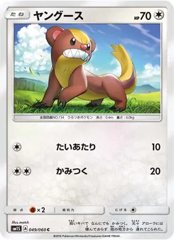 ヤングース 049/060 — コレクションサン