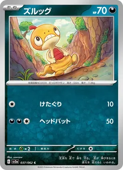 ズルッグ 037/062 — レイジングサーフ