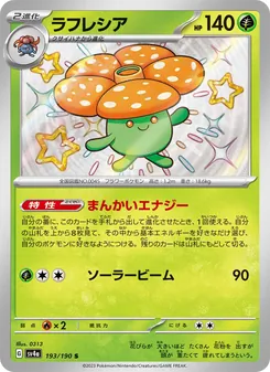 ラフレシア 193/190 — レイジングサーフ