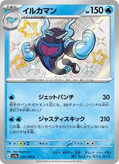 イルカマン 229/190 — レイジングサーフ