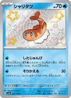 シャリタツ 232/190 — レイジングサーフ