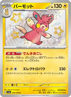 パーモット 249/190 — レイジングサーフ