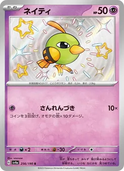 ネイティ 256/190 — レイジングサーフ