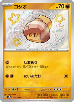 コジオ 283/190 — レイジングサーフ