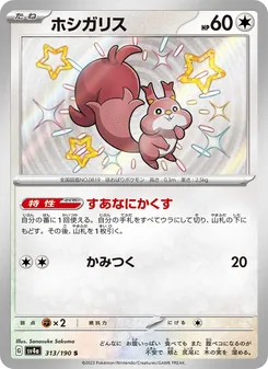 ホシガリス 313/190 — レイジングサーフ