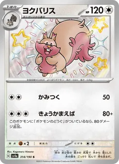 ヨクバリス 314/190 — レイジングサーフ