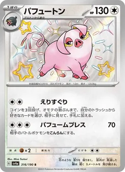 パフュートン 316/190 — レイジングサーフ