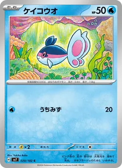 ケイコウオ 020/102 — ステラミラクル